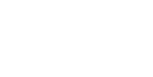 主に運搬するもの